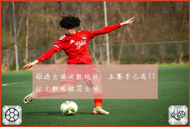 驱逐出场次数统计：本赛季已有15位主教练被罚出场