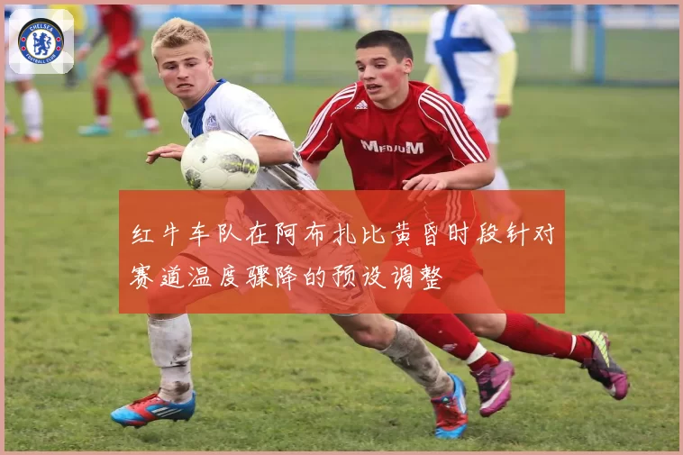 红牛车队在阿布扎比黄昏时段针对赛道温度骤降的预设调整