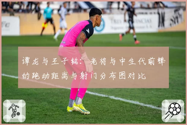 谭龙与王子铭：老将与中生代前锋的跑动距离与射门分布图对比