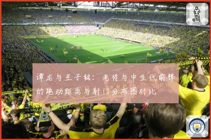 谭龙与王子铭：老将与中生代前锋的跑动距离与射门分布图对比